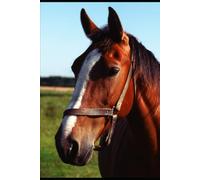 Lessons From the Barn: What Horses Taught Me About Life, Healing, and Leadership