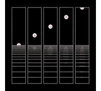 Let It Wander [Vinilo]