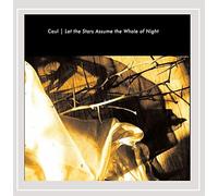 Let the Stars Assume the Whole of Night