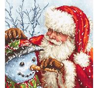 Letistitch Leti919 - Kit de punto de cruz (25 x 25 cm), multicolor