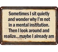 Letrero de aluminio con texto en inglés «Sometimes I Sit Quietly And Wonder Why I'm Not In A Mental Institution», decoración de pared, estilo vintage, 30,5 x 40,6 cm