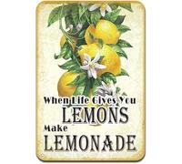 Letrero de aluminio de 8 x 12 pulgadas, arte de pared de metal para dormitorio, When Life Gives You Lemons Make Lemonade, letrero de estaño, decoración vintage, garaje, hogar, jardín, cafeterías