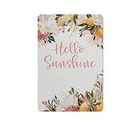 Letrero de bienvenida con texto en inglés "Hello Sunshine" para baby shower con texto en inglés "Hello Sunshine" y cítricos, decoración del hogar, póster de metal, 20,3 x 30,5 cm (n.º 504)