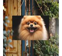 Letrero de bienvenida personalizado para puerta delantera, letrero de madera de Pomerania, placa de madera sin terminar con cuerda, decoración del hogar, letrero de jardín para jardín y patio