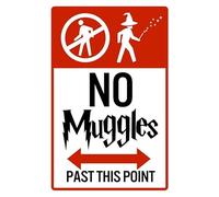 Letrero de estaño con texto en inglés "No Muggle Past This Point" - Cartel de estaño - Divertida placa de metal vintage, letrero decorativo para pared, 20 x 30 cm