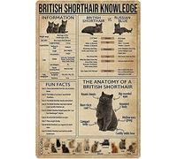 Letrero de hojalata con 5 gatos británicos de pelo corto: La antología de un gato británico de pelo corto, póster retro para escuela, tienda de mascotas, cafetería, bar, dormitorio, baño, cocina, arte