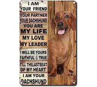 Letrero de hojalata con perro salchicha: "Soy tu amigo, tu compañero, tú eres mi vida". Ideal para decorar la pared de un garaje, una cafetería, un bar o una granja. Perfecto como regalo para hombres