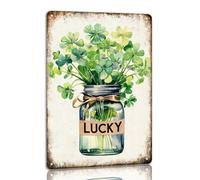 Letrero de hojalata con tréboles para el Día de San Patricio, tarro de cristal, letreros de metal, decoración navideña irlandesa, trébol verde, trébol de la suerte, decoración colgante de pared para