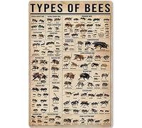 Letrero de lata con texto en inglés "Types of Bees" para decoración de pared, divertido y retro, para bar, café, pub, regalo, 20,3 x 30,5 cm