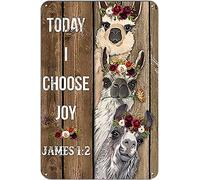 Letrero de lata vintage de 8 x 12 pulgadas con texto en inglés "Today I Choose Joy Christian Jesus" Lover alpaca llama, divertida decoración de pared para el hogar, cafeterías, pubs, clubes, placa de