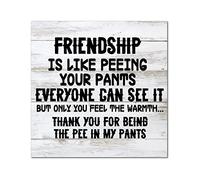 Letrero de madera con texto en inglés "Friendship is Like Peeing Your Pants" con citas de madera, decoración rústica para dormitorio, sala de estar, oficina, hogar, regalo de inauguración de la casa