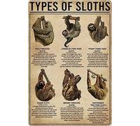 Letrero de madera de 8 x 12 pulgadas, con texto en inglés "Tipos de perezosos", placas retro, enciclopedia de animales, para colgar en la pared, hogar, habitación, oficina, póster decorativo