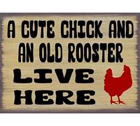 Letrero de metal antiguo con texto en inglés "A Cute Chick and an Old Rooster Live Here" para cocina, placa de metal divertido para hombre, cueva, bar, club, decoración de pared del hogar, 5.5 x 8