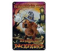 Letrero de metal con texto en inglés "Happy Halloween Witch Decor Tombstone Pumpkin Bat Dachshund Dog Dog Metal Tin Sign Wall Art Farmhouse Sign Rustic Halloween Hanging Welcome Supplies Party