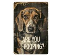 Letrero De Metal De Estaño Advertencia sobre El Perro Jack Russell: ¡Cuidado con El Perro! Vintage Carteles De Metal Artística Placas De Metal para para Karaokes 30X20Cm