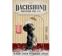Letrero de metal de gel para ducha de perro salchicha, con texto en inglés "Wash Your Worries Away", estilo vintage, decoración del hogar, póster, arte de pared, letrero de estaño, póster de metal de