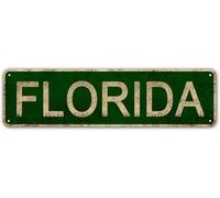 Letrero De Metal Las Mejores Ideas para Nombres De Estados De Floresida, Estados Unidos Divertido Letrero Metálico Resistente Al Desgaste Y Duradero Chapas Metalicas para Club Aseo 20X30Cm