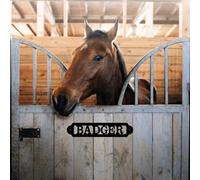 Letrero de metal personalizado para caballo, placa de nombre de puesto de caballo personalizado, ecuestre, equitación, decoración de granero, decoración de rancho, letrero de puerta estable, regalo