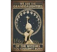 Letrero de metal retro de 8 x 12 pulgadas con texto en inglés "We are The Granddaughters of The Witches You Couldn't Burn", de aluminio, para decoración de pared de café en el hogar