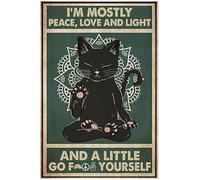Letrero de metal retro divertido con texto en inglés "I'm mostly Peace Love and Light and Little Go FCK Yourself", letrero de aluminio vintage para decoración de pared del hogar, jardín, café, 8 x 12