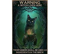 Letrero de metal vintage de estaño con texto en inglés "Warning A Witch Lives Here Black Cat Halloween Tin Metal Sign Painting Plate Poster Yard Family Home Bar Restaurant Garage Wall Decor 12.0 x 16.