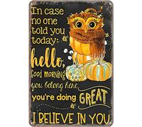 Letrero Metálico Búho, Creo En Ti. Estás Haciendo Un Gran Arte De Búho. Humor Cartel De Hojalata Pared Letreros Metalicos para Cafetería Club Hombre Cueva M