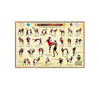 Letrero metálico con información sobre Muay Thai Boran: 23 técnicas de ataque. Infografía. Póster para club, sala de artes marciales, cueva de hombre, decoración de pared para el hogar. Placa de 20 x
