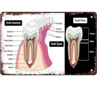 Letrero metálico de conocimiento dental, pósteres de anatomía dental, letreros metálicos, enciclopedia dental, placas de hierro, decoración de pared para consultorio médico, regalo para mujeres y hom