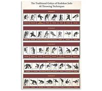 Letrero metálico "El Gokyo tradicional del club de judo Kodokan", decoración de judo, pósteres infográficos, placa decorativa de pared para locales, casas y habitaciones, 20 x 30 cm.
