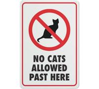 Letrero Metálico No Se Permiten Gatos Más Allá De Aquí Libre De Óxido Divertido Metal Estaño Signo Decoración Cartel De Metal para Cocina Taberna Baño 20X30Cm