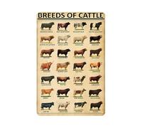Letrero metálico "Razas de ganado" - Póster con información sobre ganado, letreros vintage de hojalata para decoración de ranchos, casas de campo, decoración de pared educativa escolar, regalos para