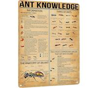 Letrero metálico vintage con información sobre hormigas. Póster educativo de insectos para aulas, casas de campo y oficinas. Regalo ideal para amantes de la naturaleza y estudiantes. 20 x 30 cm.