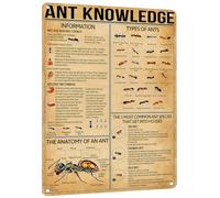 Letrero metálico vintage con información sobre hormigas. Póster educativo de insectos para aulas, casas de campo y oficinas. Regalo ideal para amantes de la naturaleza y estudiantes. 20 x 30 cm.