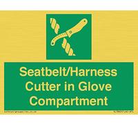 Letrero para cinturón de seguridad/arnés en compartimento para guantes, 100 x 75 mm, A7L