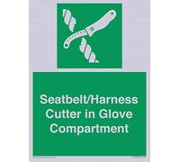 Letrero para cinturón de seguridad/arnés en compartimento para guantes - 150x200mm - A5P