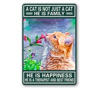 Letreros de estaño vintage divertidos con texto en inglés "A Cat Is Not Just A Cat He Is Family" Retro Tin Sign Chic Art Wall Wall Funny Iron Plate Signs Gift for Living Room Office 20.3x30.5 cm
