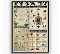 Letreros de hojalata con información sobre conocimientos de hierbas, botiquín de primeros auxilios vintage, infografía, decoración de pared, póster, placa de hojalata, guía de estudio para farmacéuti