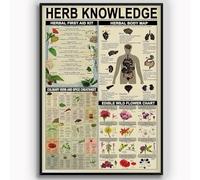 Letreros de hojalata con información sobre conocimientos de hierbas, botiquín de primeros auxilios vintage, infografía, decoración de pared, póster, placa de hojalata, guía de estudio para farmacéuti