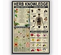 Letreros de hojalata con información sobre hierbas, botiquín de primeros auxilios, infografía, guía de estudio para farmacéuticos, placa de hojalata, decoración de pared para el hogar, farmacia, ofic