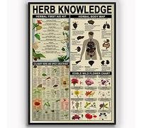 Letreros de hojalata con información sobre hierbas, botiquín de primeros auxilios vintage, infografía, póster retro, guía de estudio para farmacéuticos, placa de hojalata, decoración para el hogar, fa