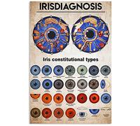 Letreros de metal con información sobre el diagnóstico del iris, pósteres retro con tipos constitucionales del iris, placa guía para oftalmólogos, decoración de pared para oficina, clínica, habitac