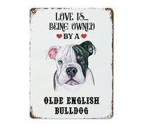 Letreros de metal retro con texto en inglés «Love is Being Owned by A Old English Sheepdog (El amor es ser poseído por un viejo perro pastor inglés), cartel decorativo de metal antiguo pastor inglés