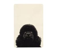 Letreros de metal vintage con diseño de caniche negro que mira hacia arriba, decoración de pared para baño, inodoro, baño, granja, patio, 20 x 30 cm