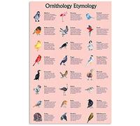 Letreros de metal vintage de ornitología, etimología, conocimiento de ornitología, decoración de ciencia para el hogar, placa para club, habitación, granja, decoración de pared, 30 x 40 cm