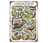 Letreros de metal vintage para cochera, orugas de Gran Bretaña, acuarela, vida silvestre, letrero de estaño, vintage, divertido, vintage, placa de metal, póster de 8 x 12 pulgadas