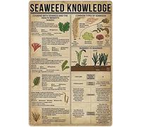 Letreros metálicos con información sobre algas marinas, infografías sobre algas marinas, pósteres para pared, enciclopedia de algas, placas guía, decoración para el hogar, habitación, estilo rústico,