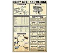 Letreros metálicos con información sobre la anatomía del pollo y el conocimiento de la cabra lechera, póster vintage con información sobre el pollo, enciclopedia de animales, decoración de granja, pla