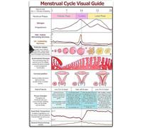Letreros metálicos con información sobre la menstruación, guía visual del ciclo menstrual, carteles de hojalata, infografías fisiológicas femeninas, placas para el hogar, dormitorio de niñas, clínica