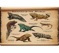 Letreros metálicos de conocimiento sobre el volcán, iguanas del mundo, decoración de pared para el aula, infografías científicas sobre volcanes, pósteres de hojalata, colección para el hogar, 3