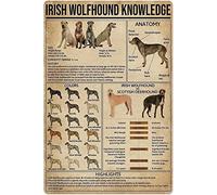 Letreros metálicos de conocimiento sobre Irish Wolfhound, cócteles, mixología definitiva, decoración de pared, póster de aluminio, pósteres de conocimientos de barman, guía rápida de aprendizaje de co